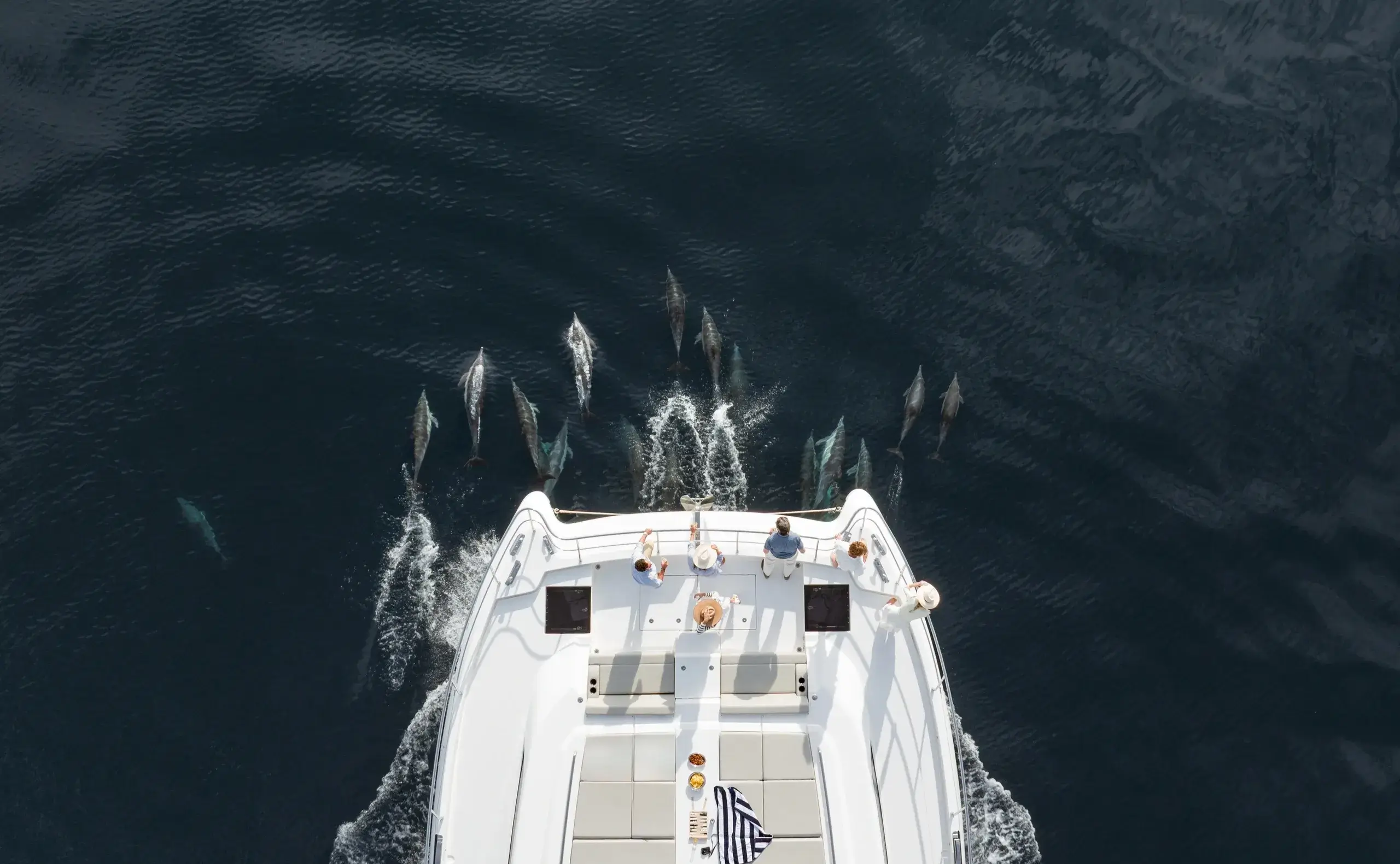 Dolphins swimming near a boat's bow.